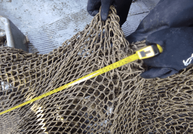 NRP Sagitário e DGRM detetam embarcação de pesca em infração