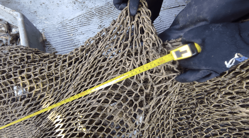 NRP Sagitário e DGRM detetam embarcação de pesca em infração